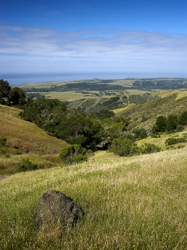 Hearst Ranch hills, with oak trees and green foliage, and the ocean in the background.