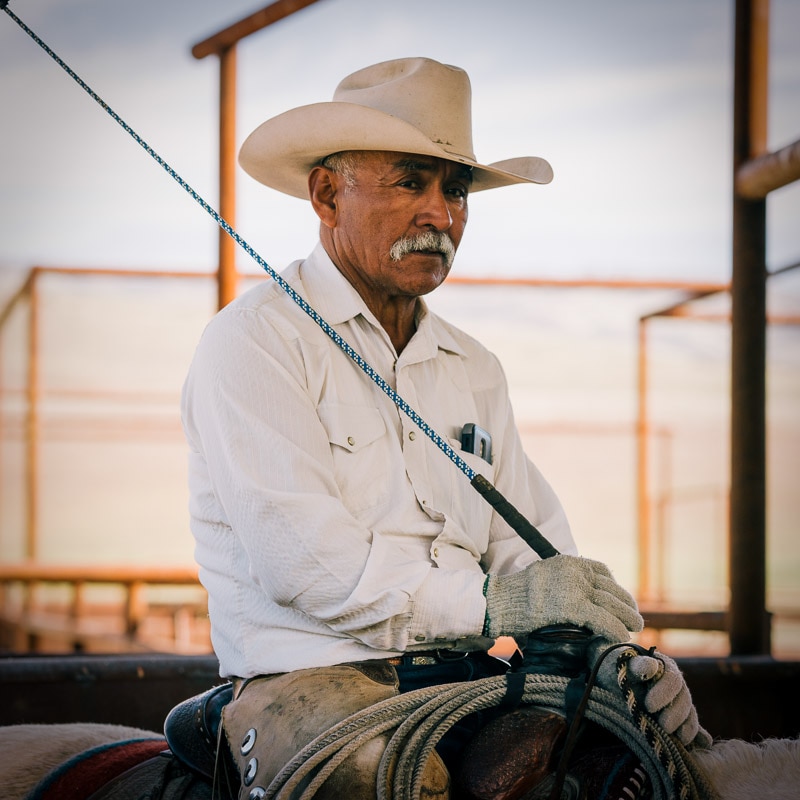 A cowboy sitting on his horse, holding a whip.