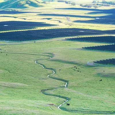 An aerial view of a green field with a river running through it, with solar panels in the background. There are black cows dotted around the field.