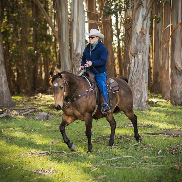Steve Hearst rides a horse through eucalyptus trees on Hearst Ranch.