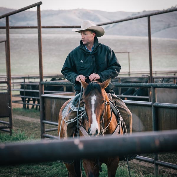A Hearst Ranch cowboy riding a horse.
