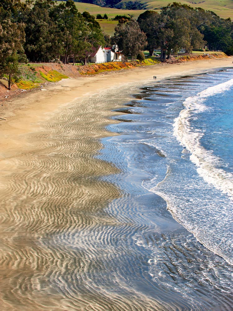 The coast of San Simeon, with colorful foliage, trees, and a small white building. There are two people walking on the beach.