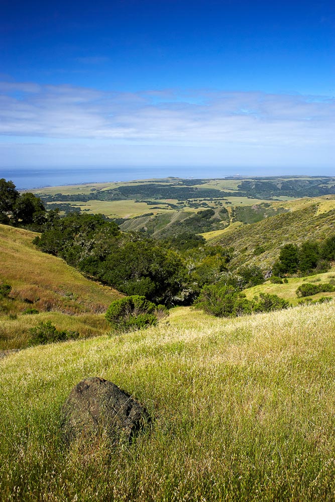 Hearst Ranch hills, with oak trees and green foliage, and the ocean in the background.