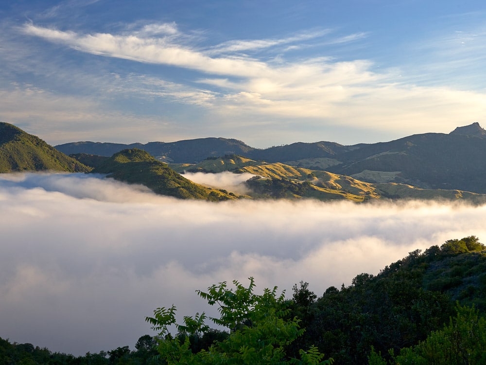 The foggy marine layer sets in among the hills within Hearst Ranch. They are illuminated by the evening sun.