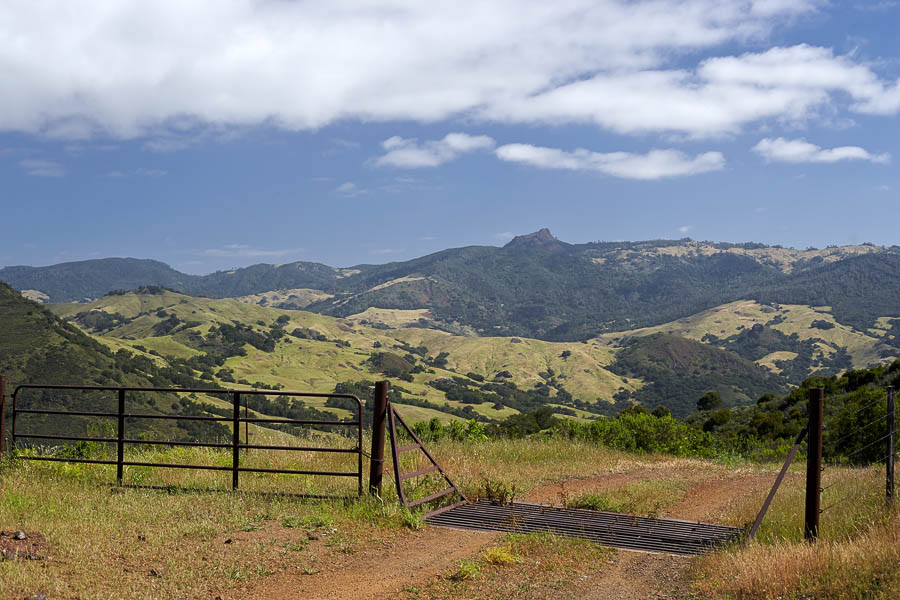 A trail in Hearst Ranch, with a fence and cattle guard in the foreground and hills and mountains in the background.