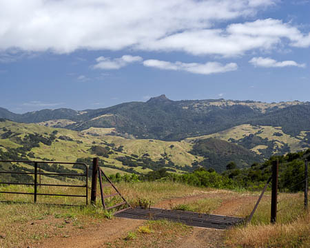 A trail in Hearst Ranch, with a fence and cattle guard in the foreground and hills and mountains in the background.