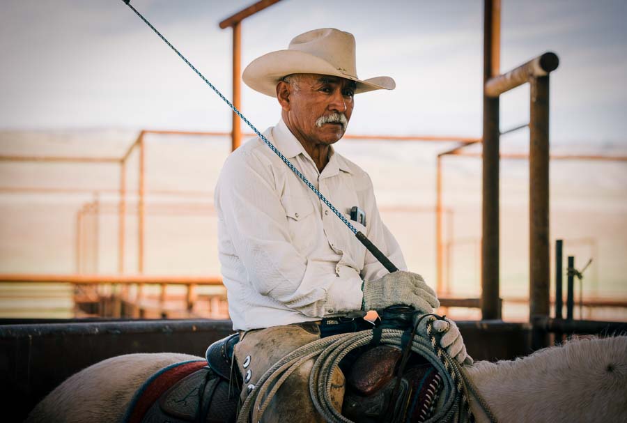 A cowboy sitting on his horse, holding a whip.