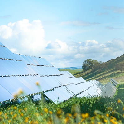 A close up shot of solar panels with green grass.