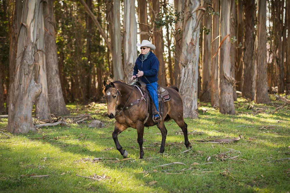 Steve Hearst rides a horse through eucalyptus trees on Hearst Ranch.