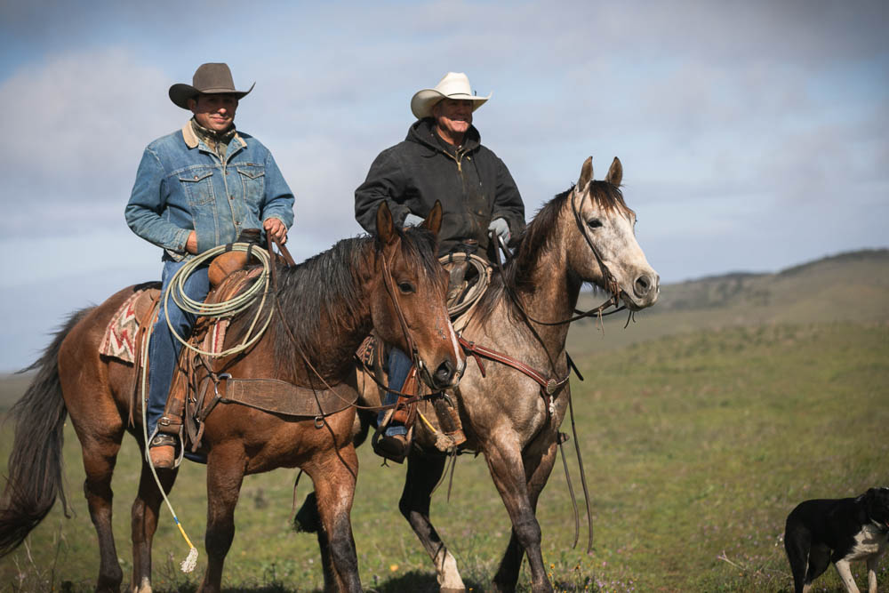 Two cowboys ride on horses, side by side in the green fields of Hearst Ranch.