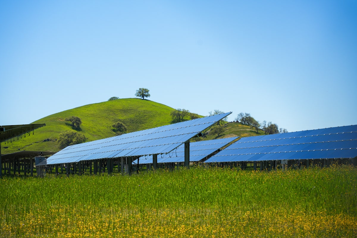 A low angle shot of solar panels. There is green grass with yellow flowers in the foreground, and a green hill sparingly covered with trees in the background.