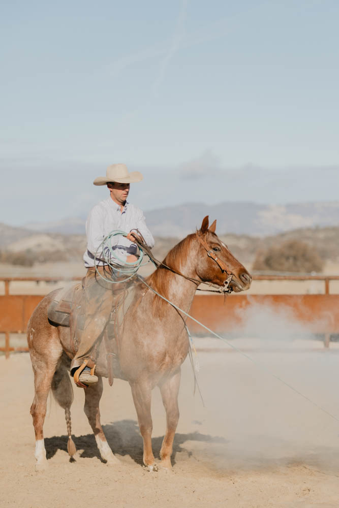 A cowboy horseback riding has just thrown his lasso.