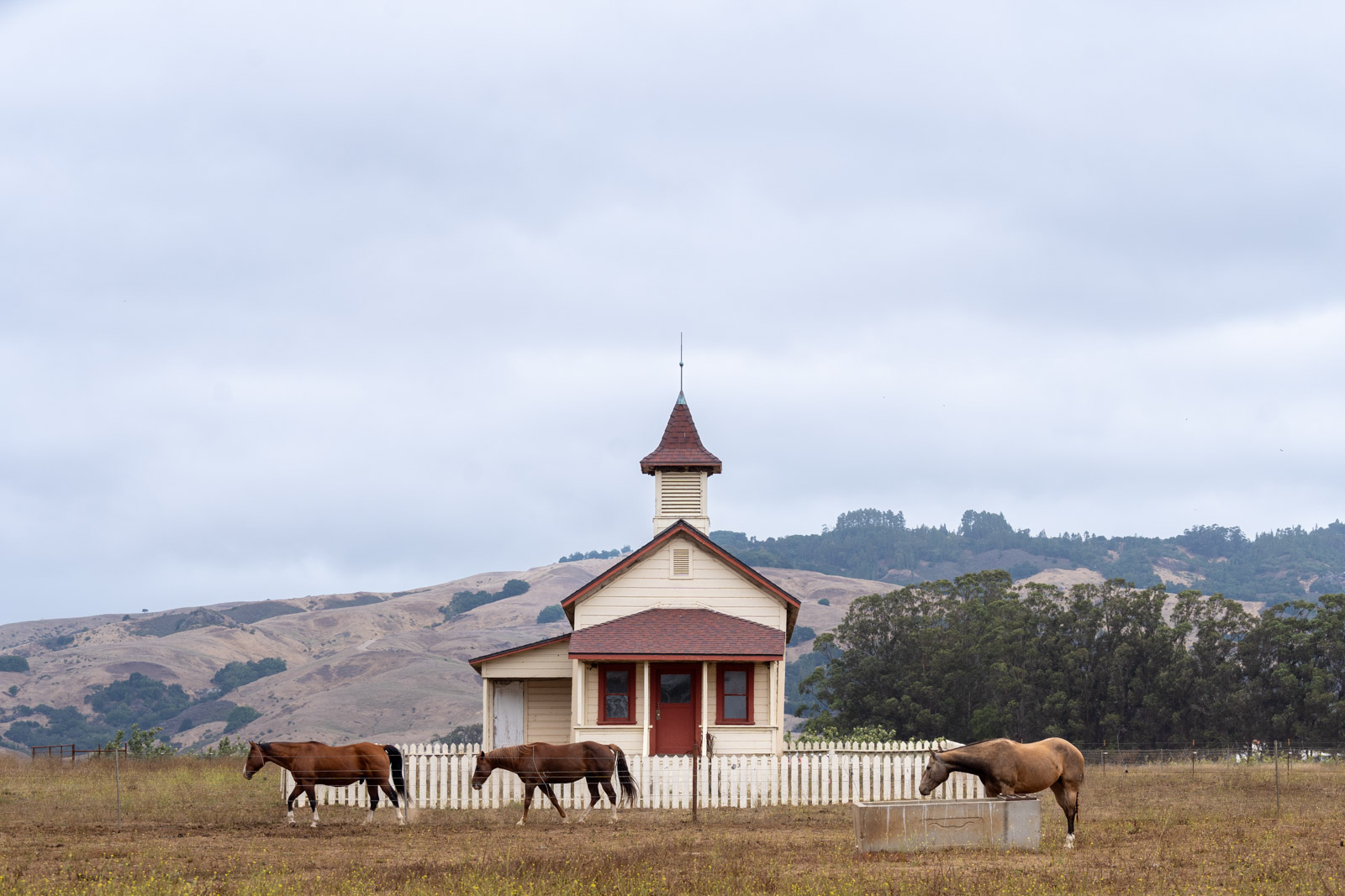 A red roofed schoolhouse in Old San Simeon, with a white picket fence, and three horses in front.