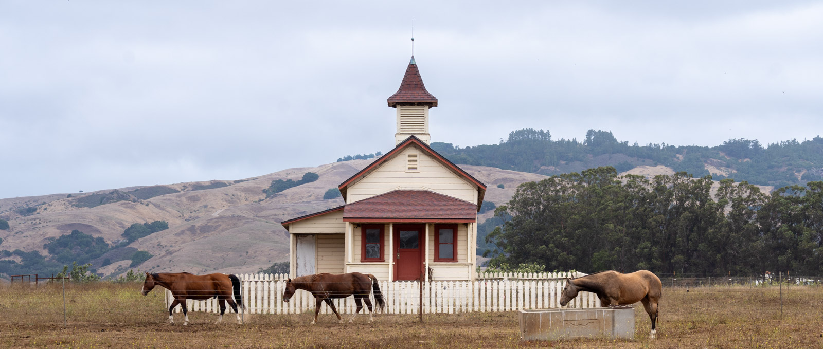 A red roofed schoolhouse in Old San Simeon, with a white picket fence, and three horses in front.